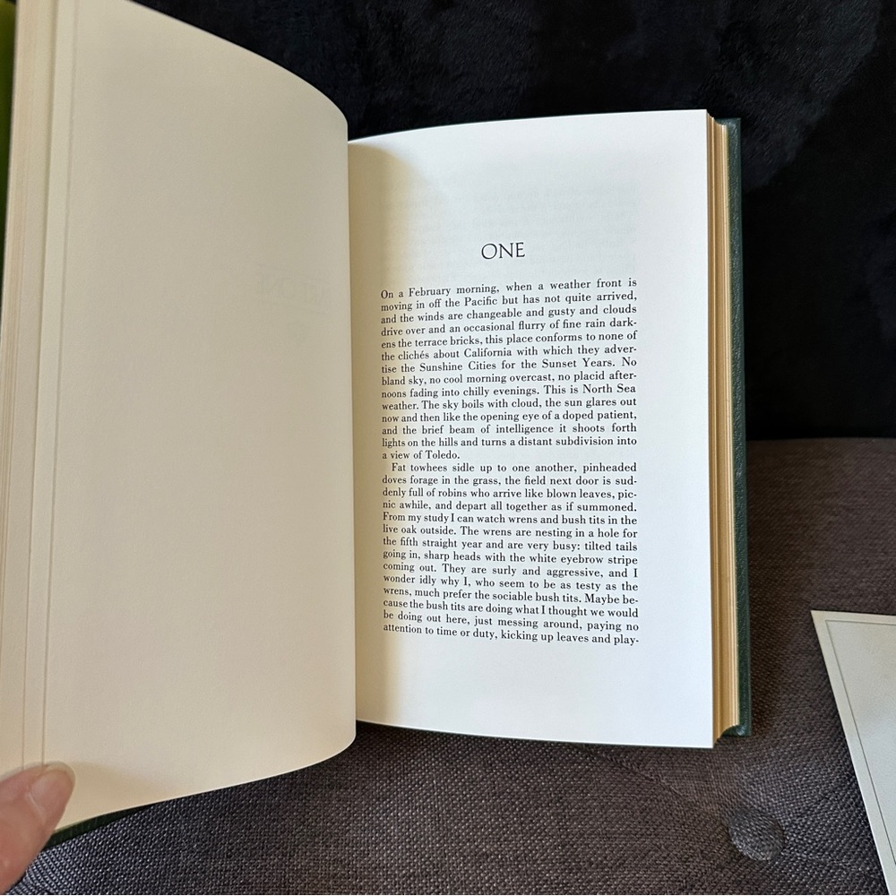The Spectator Bird | Limited First Edition - Picture 10 of 14